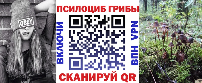 Галлюциногенные грибы Magic Shrooms  Богучар 